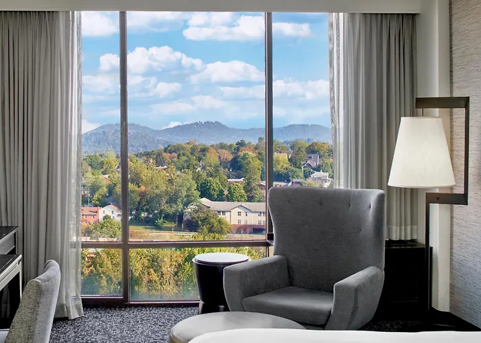 Renaissance Asheville Downtown Hotel